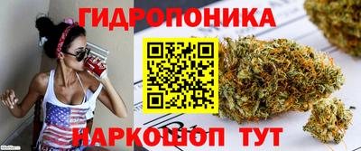 мяу мяу мука Азнакаево
