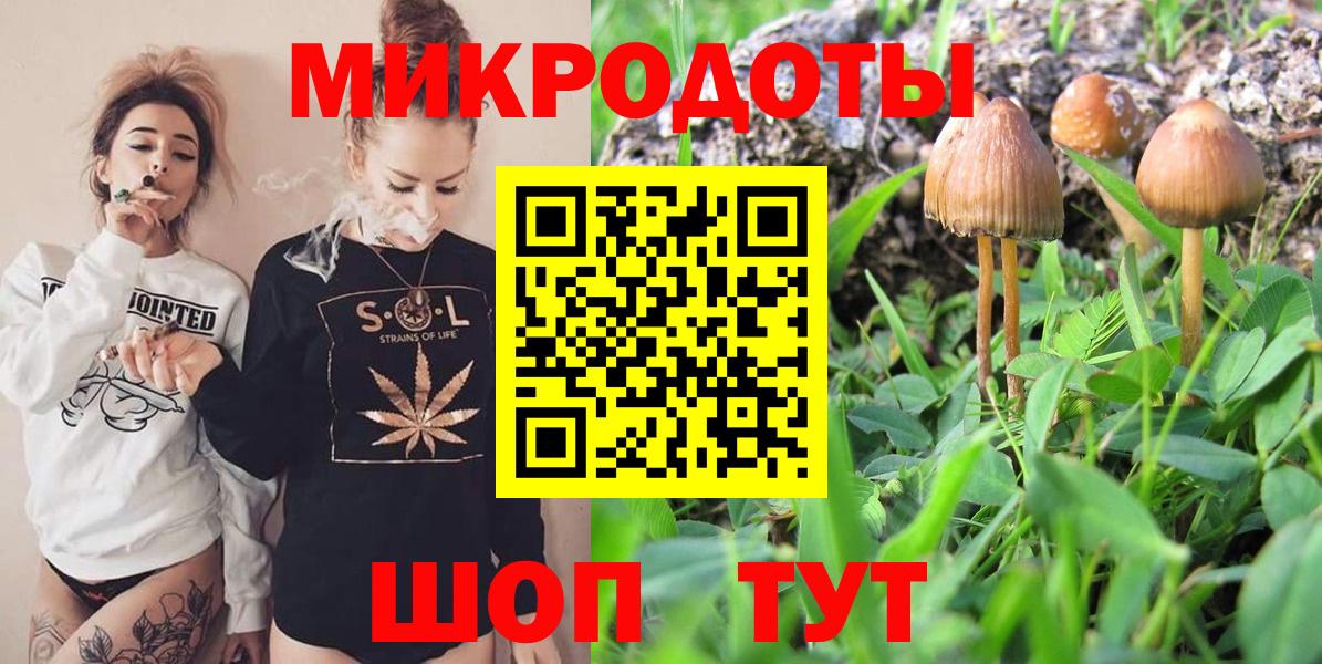 Галлюциногенные грибы мицелий Александров