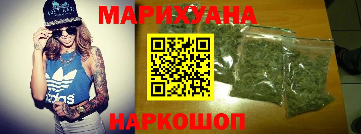 Конопля сатива Александров